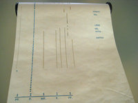 IMG 3340.jpg