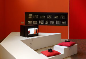 Tbatd twl installation.jpg